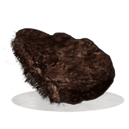 Bear Meat Burned