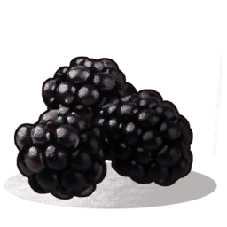 Blackberries