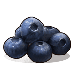 Blueberries