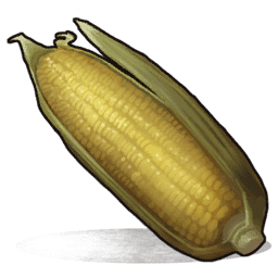 Corn