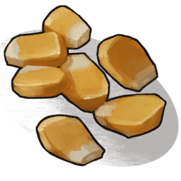 Corn Seed
