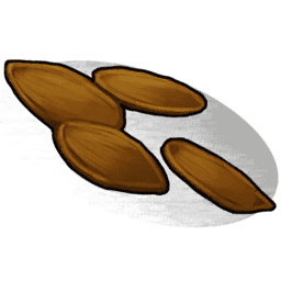 Pumpkin Seed