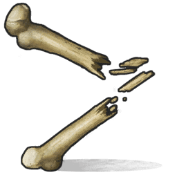 Bone Fragments